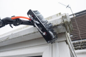 Gutter Cleaning